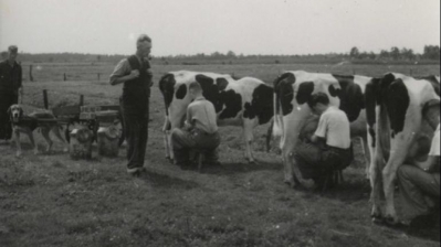 Wat gebeurde er in 1941?