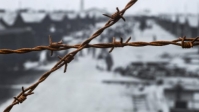 Documentaire over misstanden in Kamp Westerbork na de oorlog